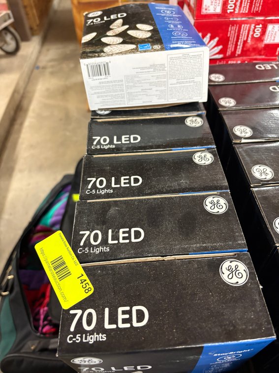 Zone 3-CG- GE StayBright LED String Lights
