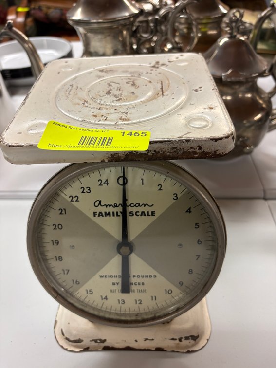 Zone 3-CG- American Family Kitchen Scale