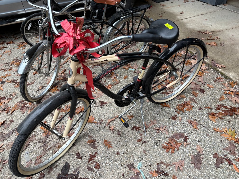 Zone 3-CG- Raleigh Cruiser Bicycle