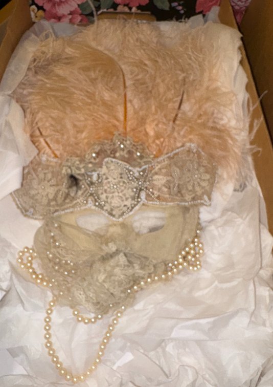 Zone 3-CG- Peach Feathered Masquerade Mask