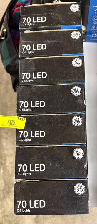 Zone 3-CG- GE StayBright LED String Lights