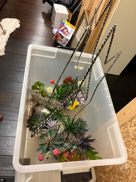 Zone 3-CUP- Faux Succulent Arrangements