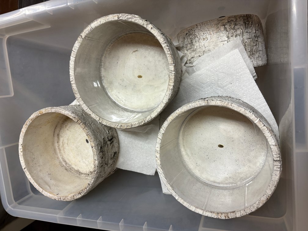 Zone 3-CUP- Faux Birch Bark Planters