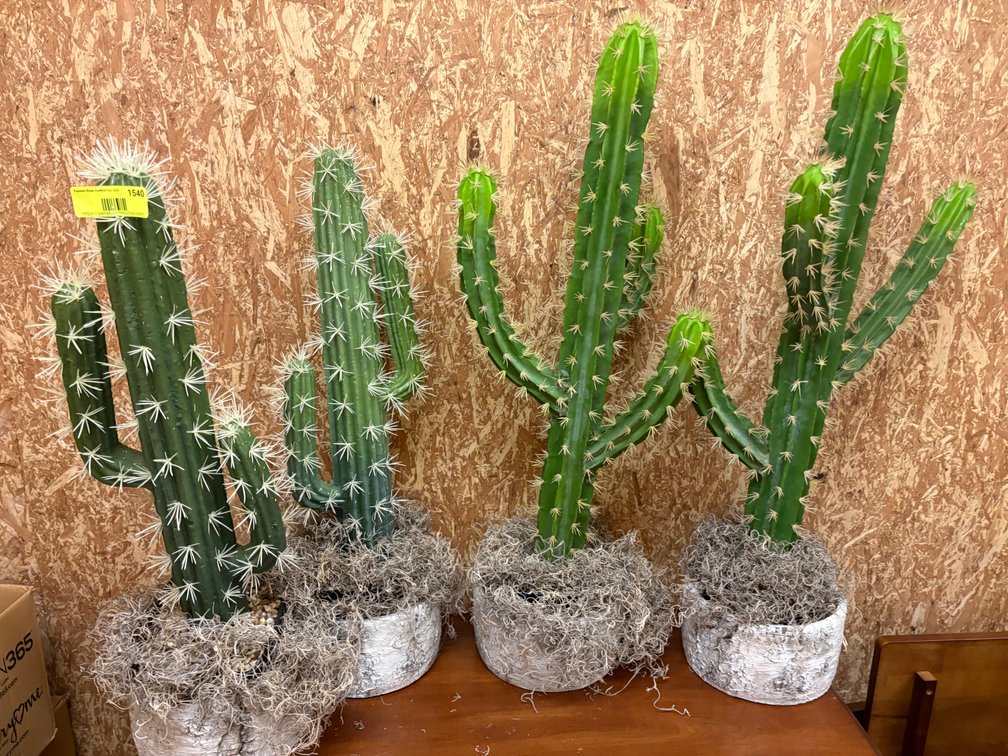 Zone 3-CUP- Artificial Potted Cacti