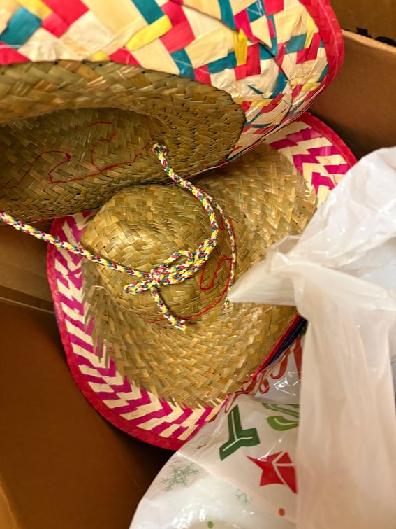 Zone 3-CUP- Woven Sombreros and Spanish Moss