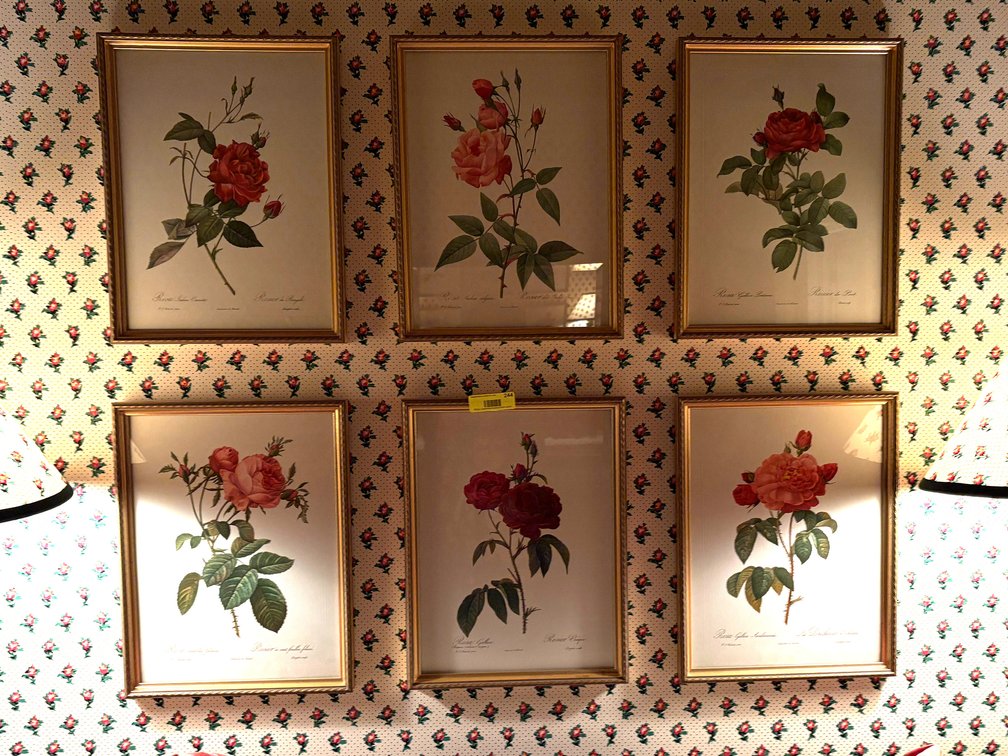 Zone 1-B1- Framed Botanical Rose Prints Set of 6