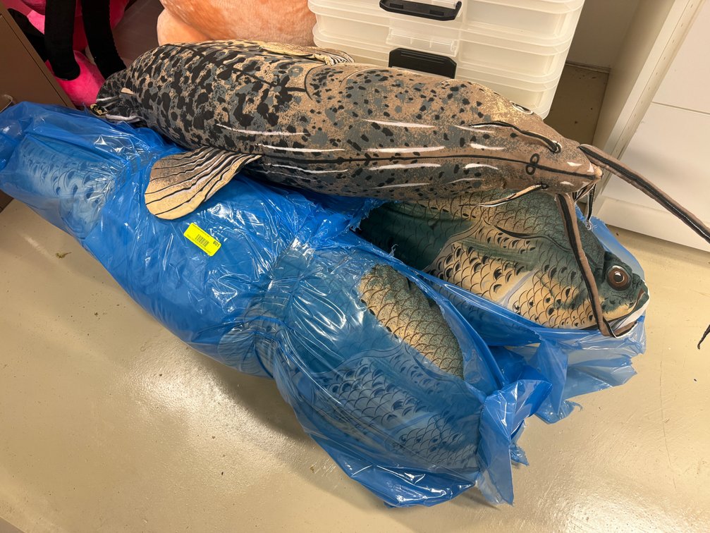 Zone 1-BB- (3) Decorative Fish Pillows
