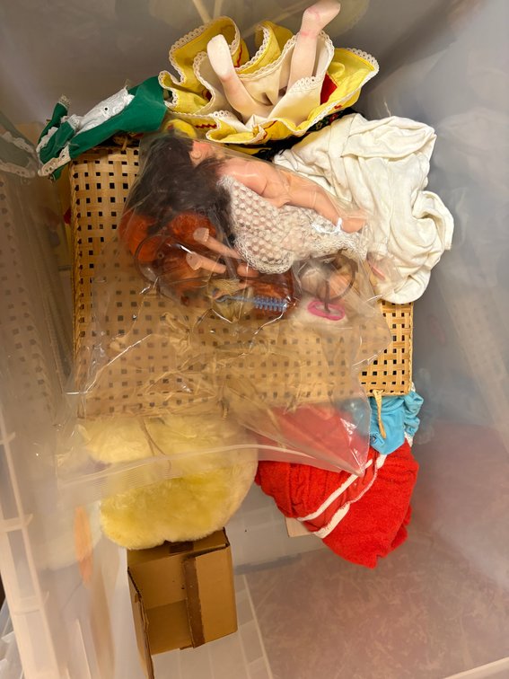 Zone 3-CUP- Dolls, Doll Clothing, and Accessories