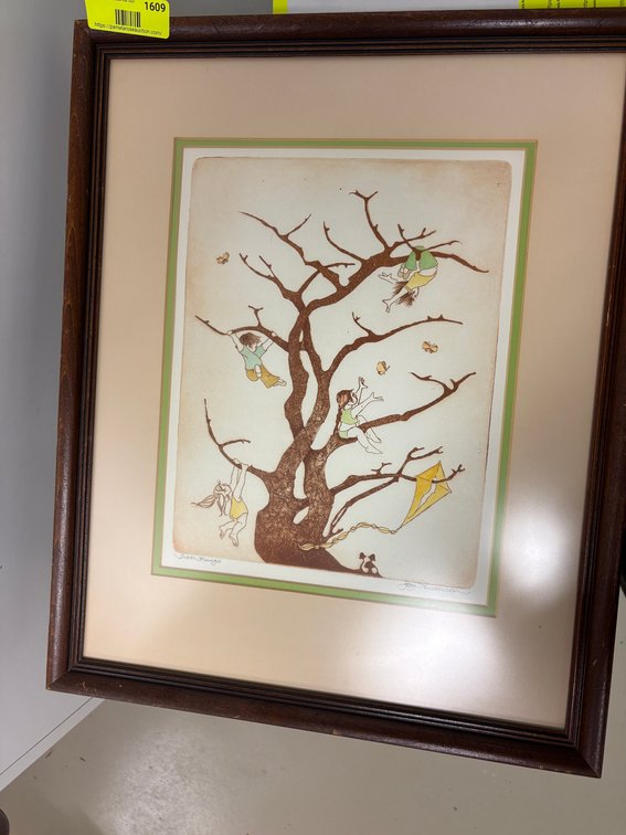Zone 1-BB- Joy Anderson Framed Art Print