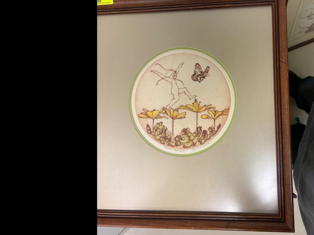 Zone 1-BB- Joy Wallace Framed Artwork Petal Bouncer/Petal Prancer