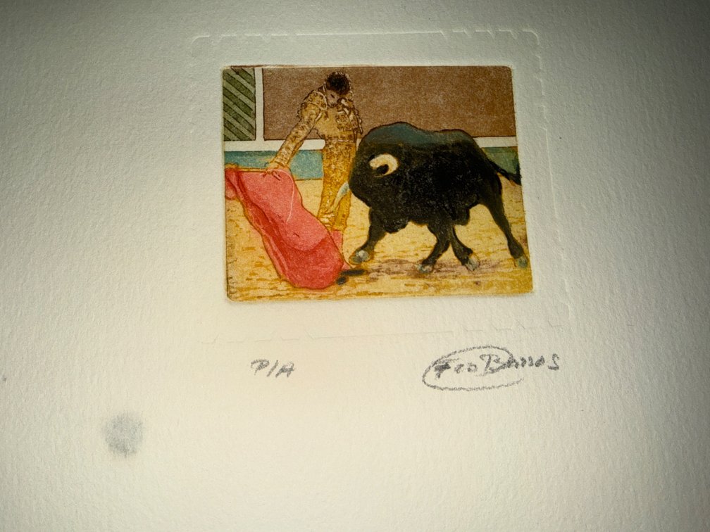 Zone 1-A- Bullfighting Print