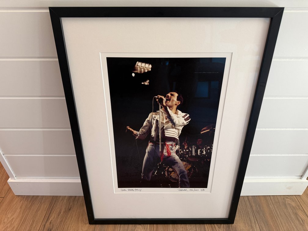 Freddie Mercury, Queen 1982