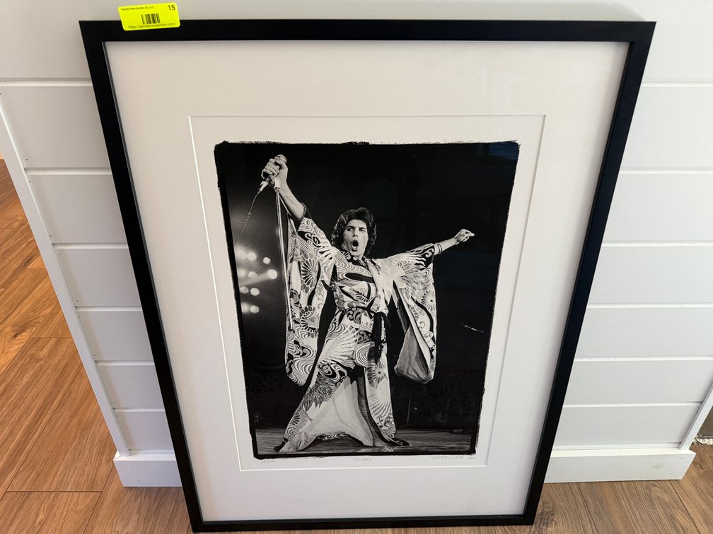 Freddie Mercury By Ron Pownall
