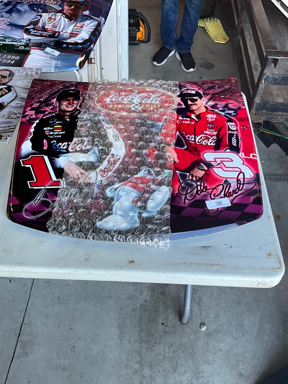 Dale Earnhardt & Dale Earnhardt Jr. Hood