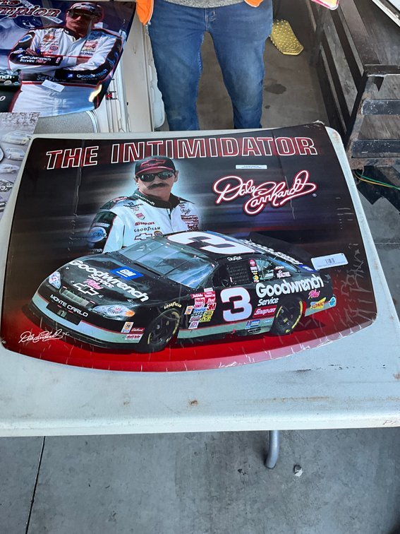 Dale Earnhardt The Intimidator Hood