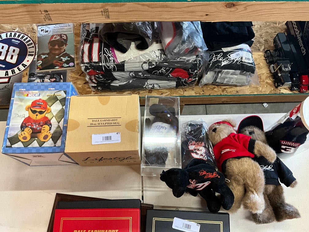 Dale Earnhardt/Jr Bears, Banks, Mug