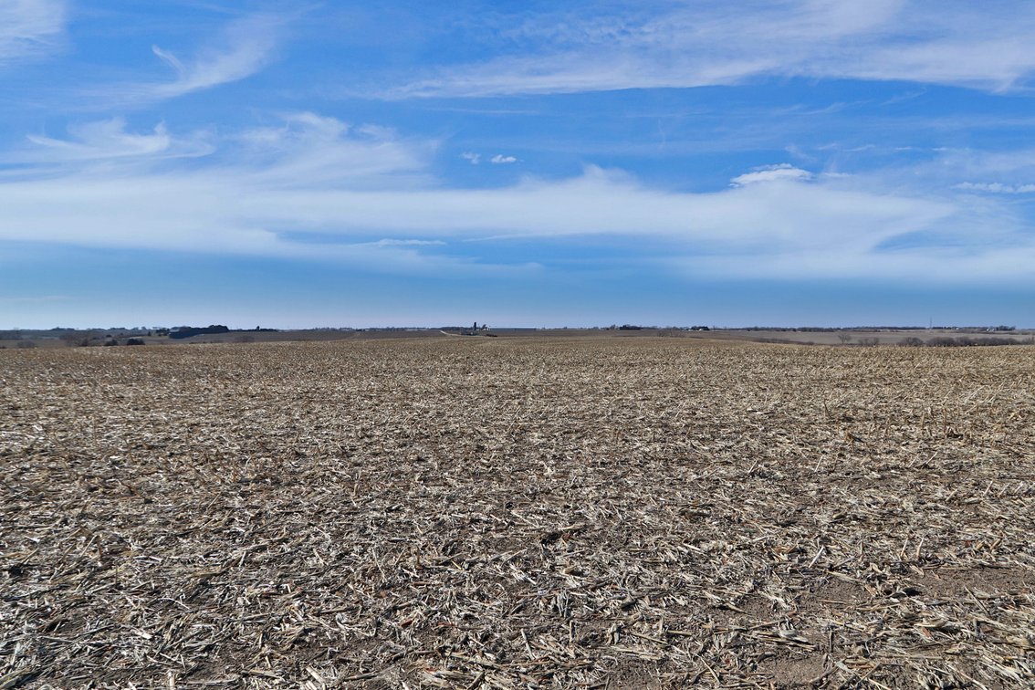 Image for Stewart Family Land Auction (Cass County)