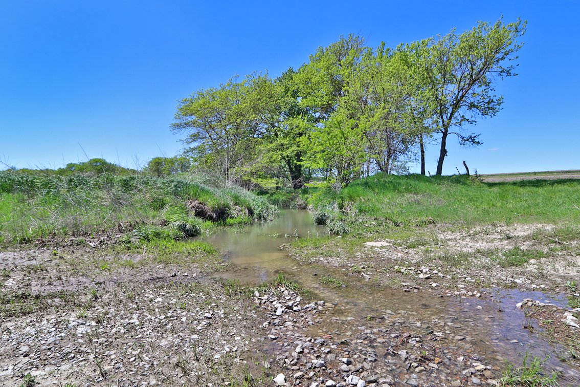 Image for Donald W. Eis Farmland Auction by the Schaardt Auction Team with Burrows Tracts Real Estate