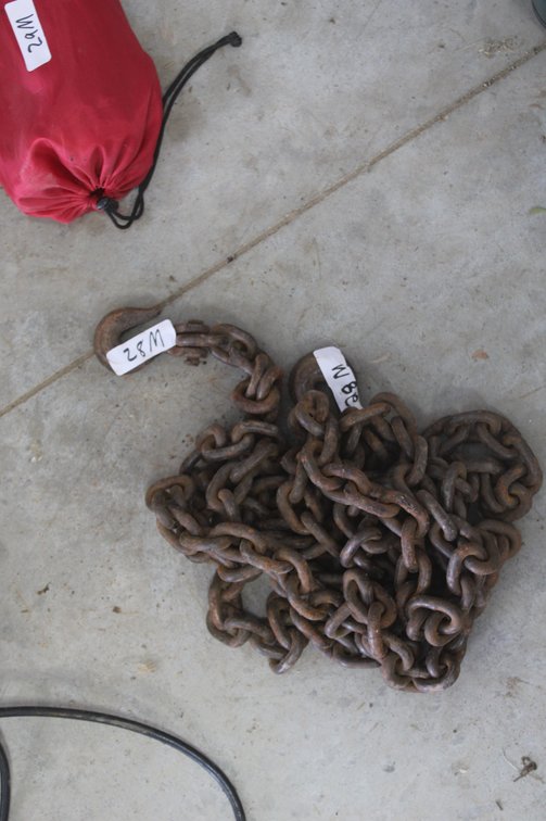Chain