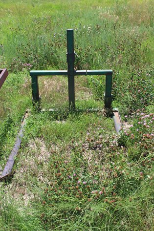 Image for July 2024 Multi Consignor Auction