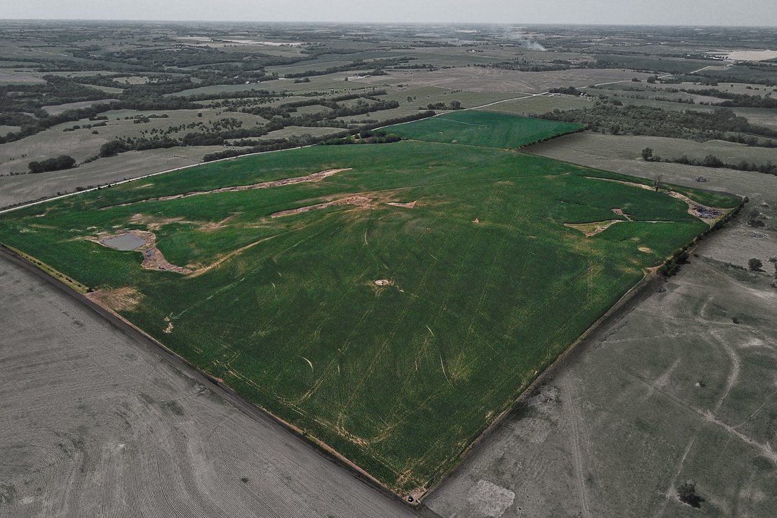 Image for 193.21Acres Pawnee County Farmland Auction by The Schaardt Auction Team with Burrows Tracts Real Estate