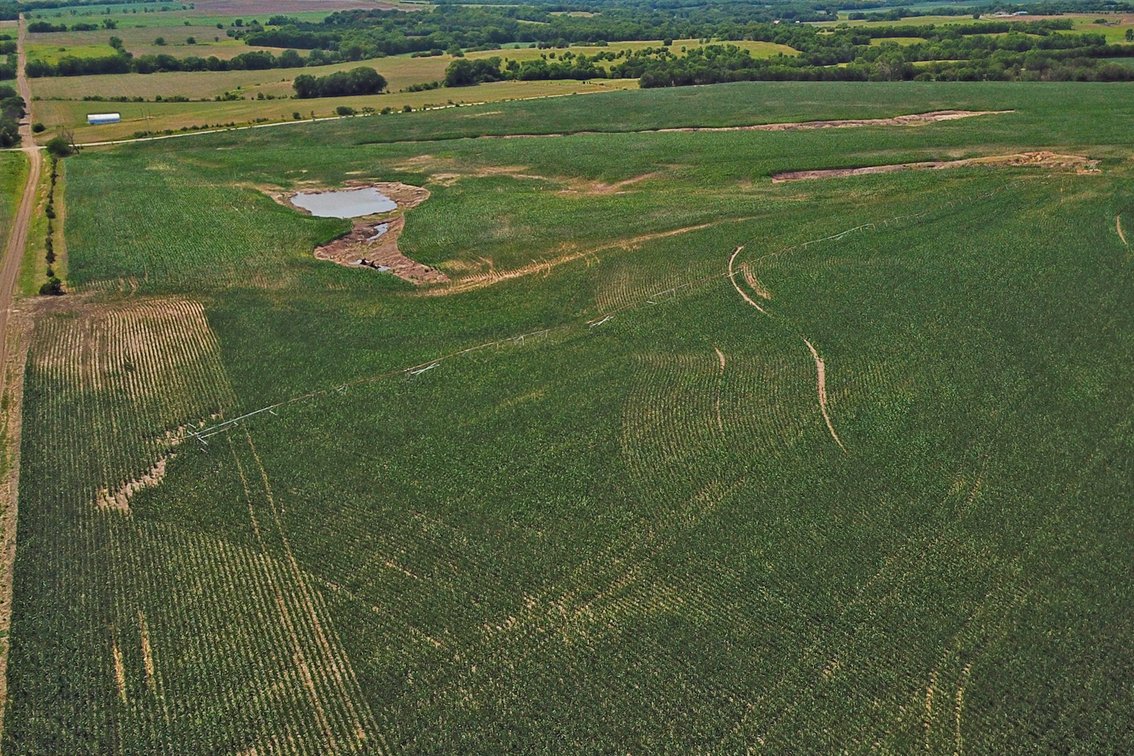 Image for 193.21Acres Pawnee County Farmland Auction by The Schaardt Auction Team with Burrows Tracts Real Estate