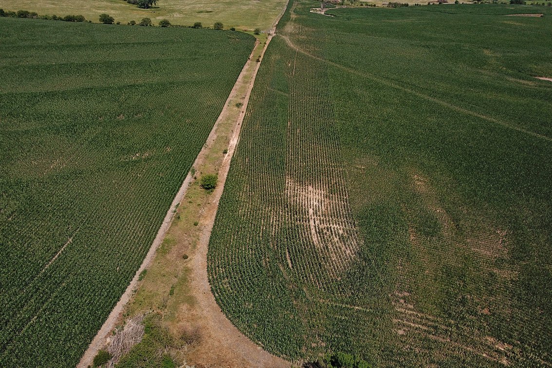 Image for 193.21Acres Pawnee County Farmland Auction by The Schaardt Auction Team with Burrows Tracts Real Estate