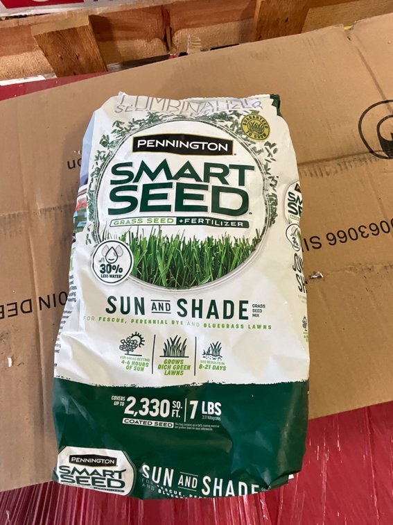 Grass Seed