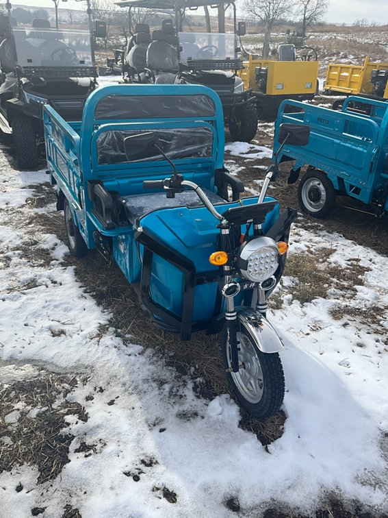 Unused 2025 IRET13 Electric Tricycle