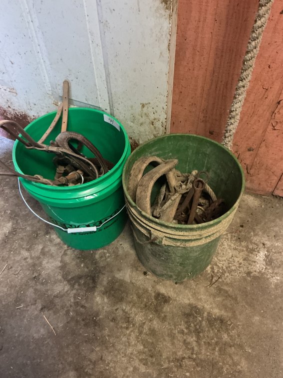 2 - Buckets of Bridals & Bits