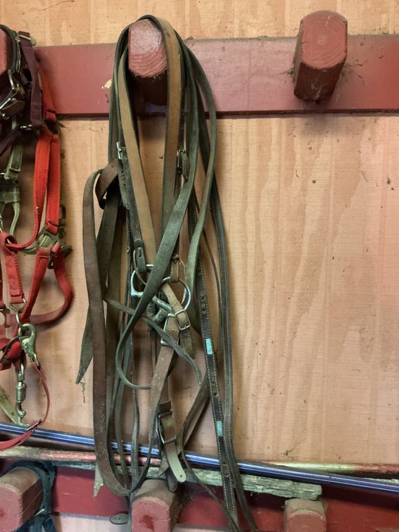 Group of Split Reins & Halters