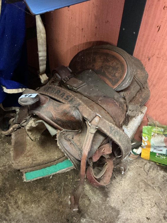 Youth Horse Saddle
