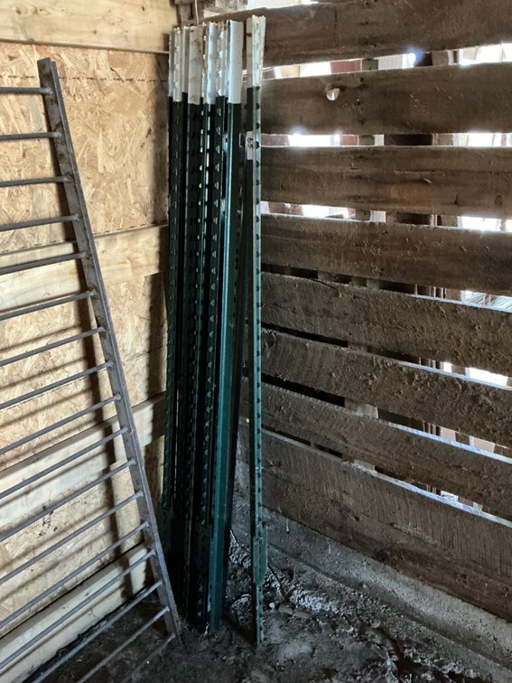 12 - 5ft T-Posts