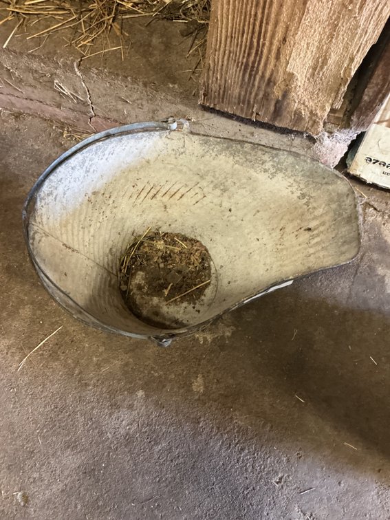 Ash/Coal Bucket