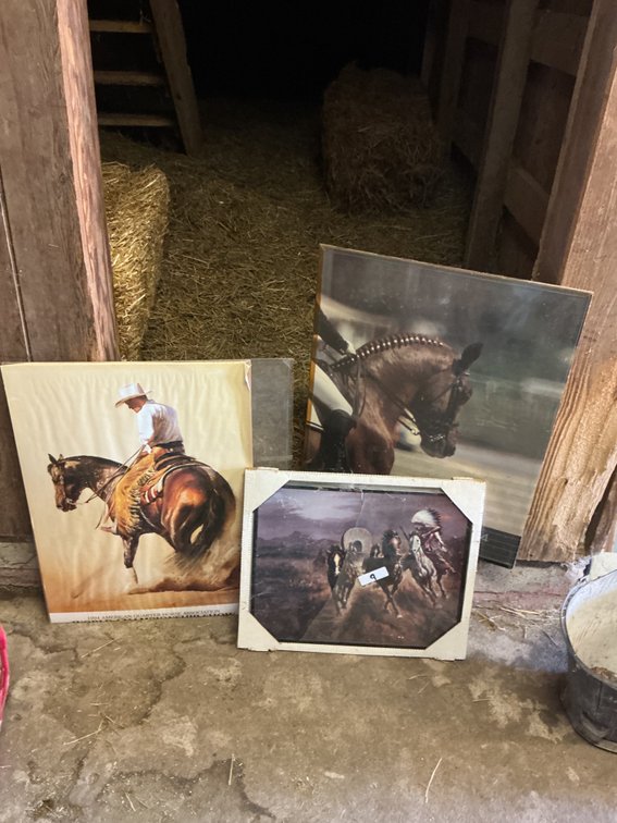 3 - Western Photos