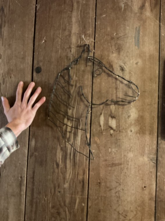 Barbed Wire Horse Art