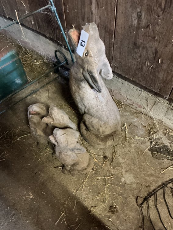 2 - Coyote Statues