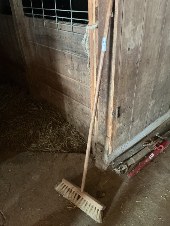 Course Brissle Shop Broom