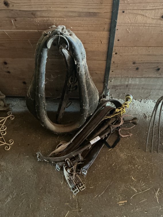 Horse Tack Misc