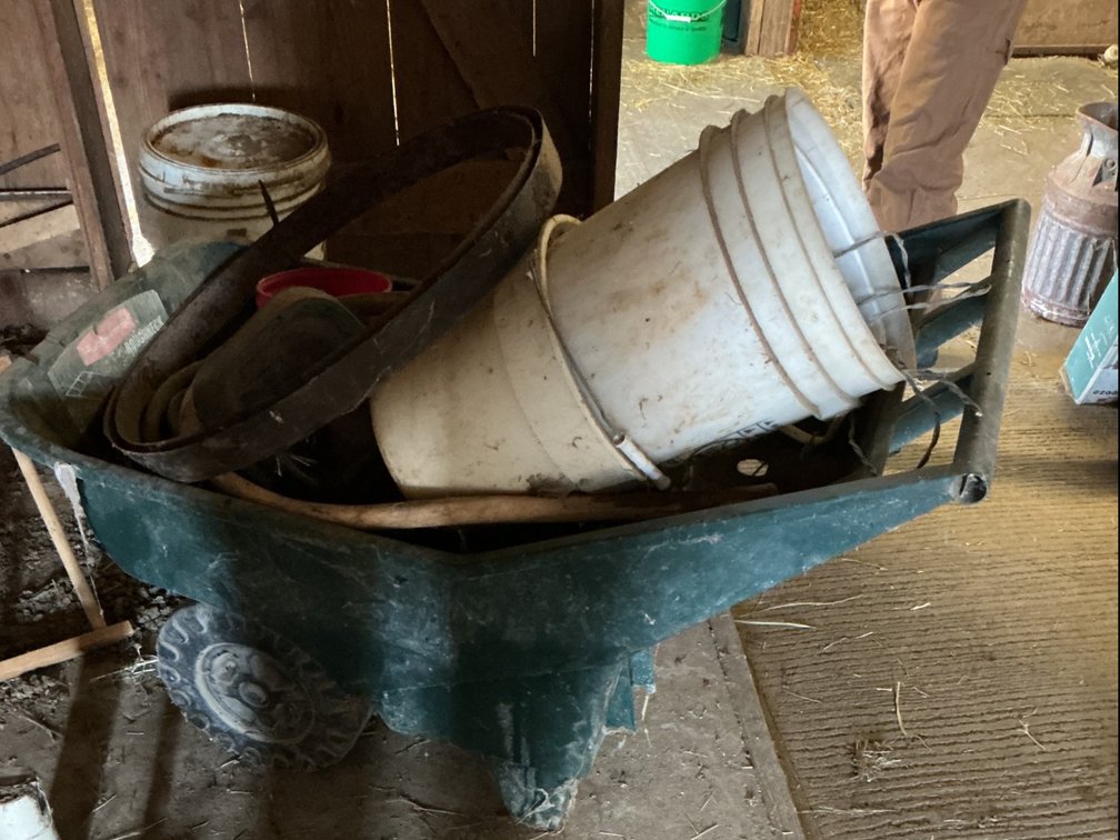 Plastic Wheelbarrow & Contents