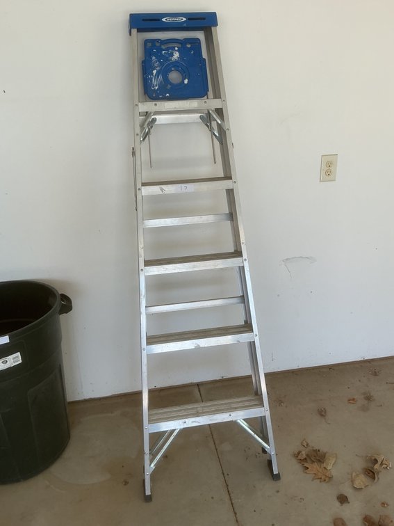 Folding ladder