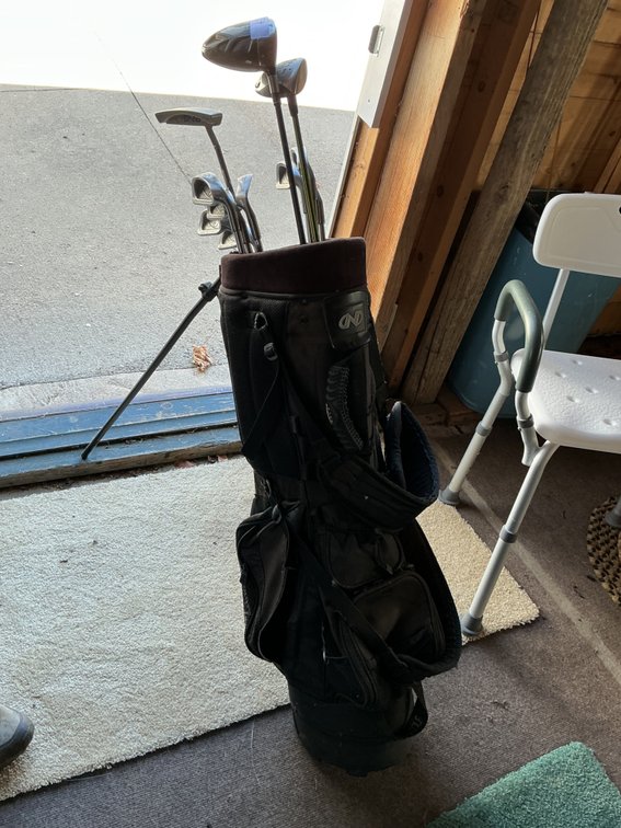 Golf clubs with bag
