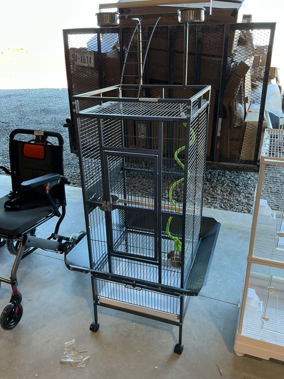 Birdcage with Wheels