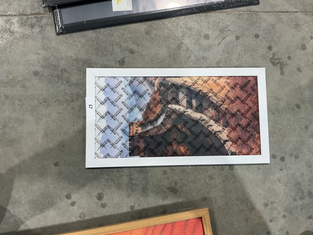 Painting w/ Frame