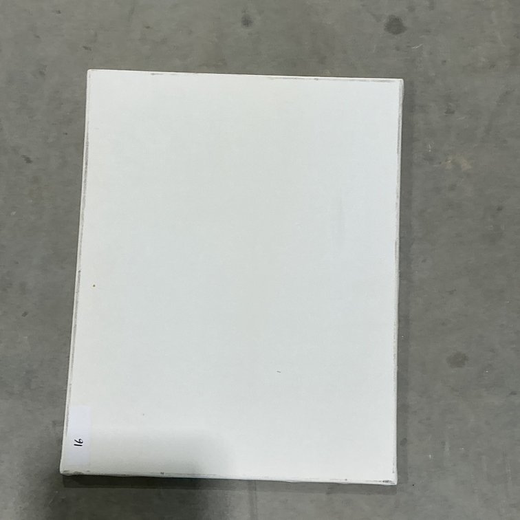 Blank Canvas