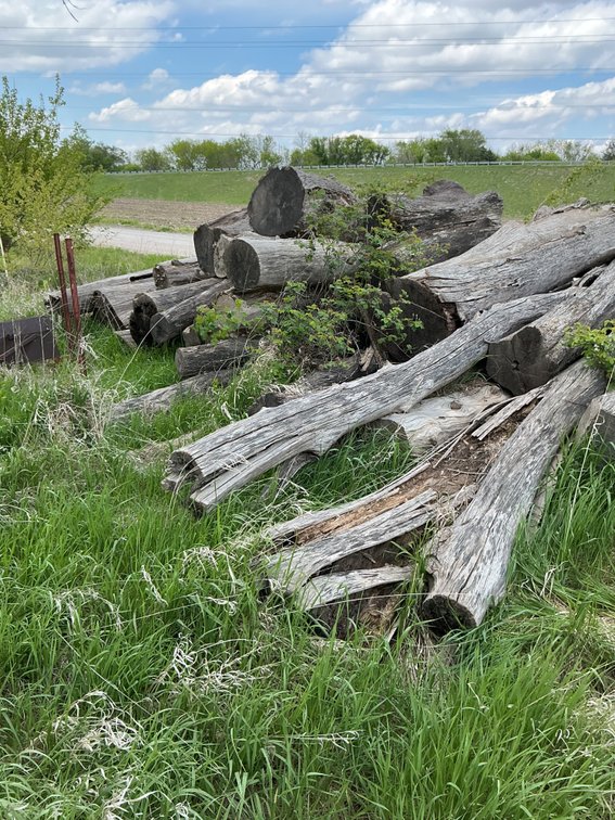 Pile of Logs
