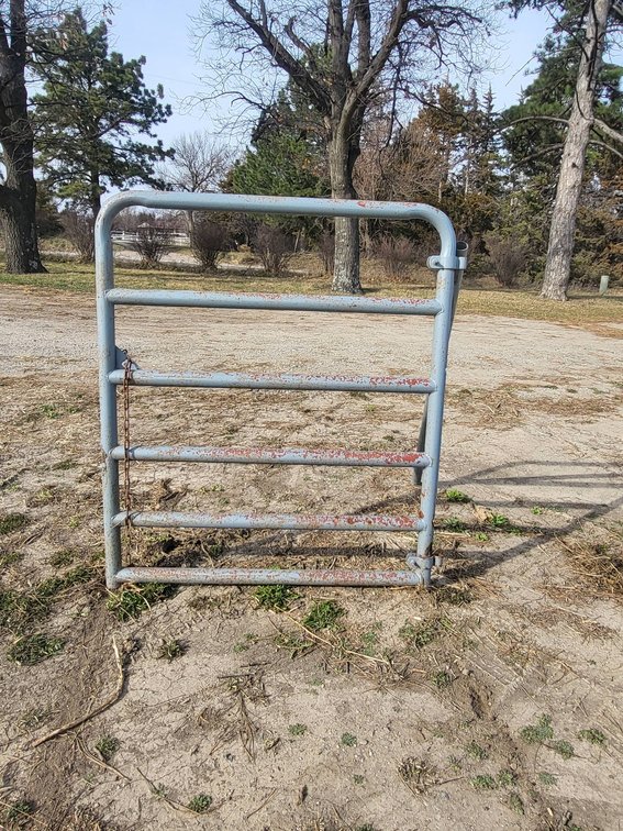 44" Long x 50" Tall Metal Gate With Adjustable Hinges and Latch Chain