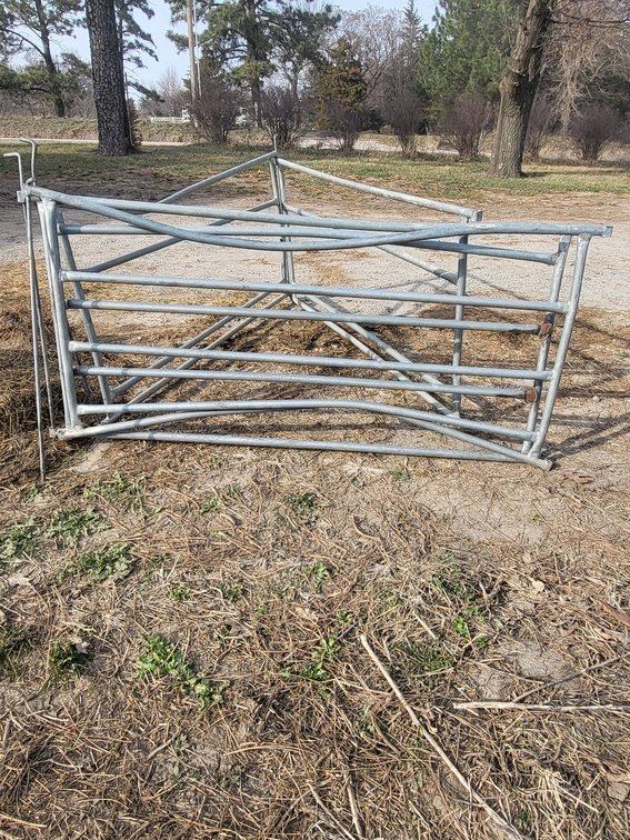 5 Galvanized Sheep Panels, 72" x 33" With Hinges and Pins