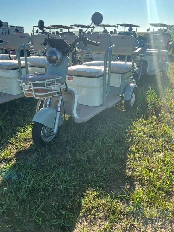 Image for Special Golf Cart, Tricycle, Mini Skid & Attachment Auction