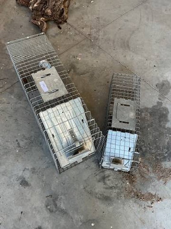 2 - Live Traps